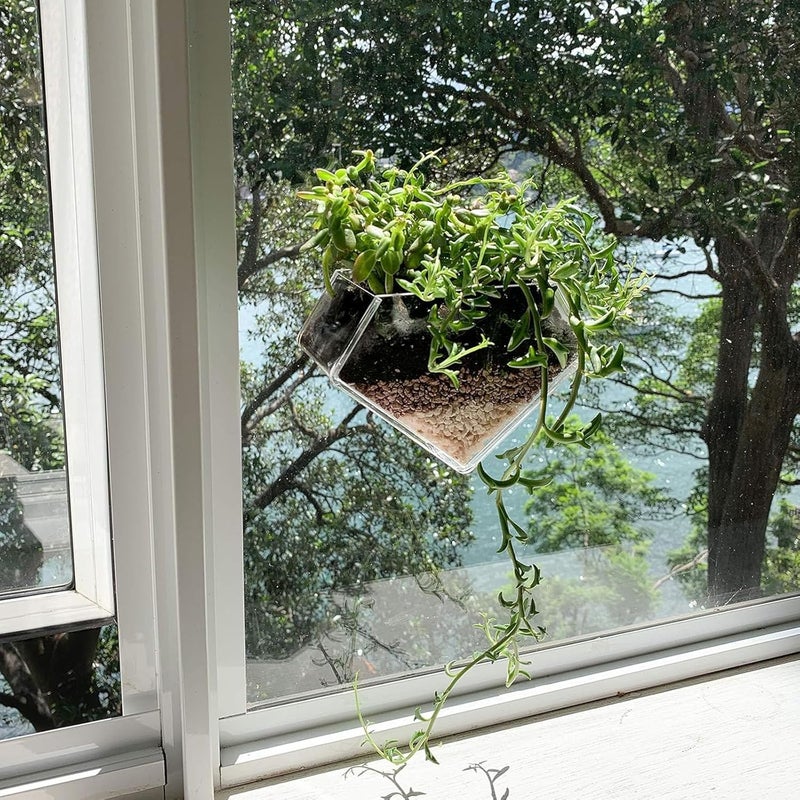 wdcfxy Transparent Acrylic Diamond Shape Suction Cup Window Planter, Ideal for Succulents, Cactus, Boxes or Indoor Herbs Pots, Home Decor Plant Holder or Kitchen - Image 4